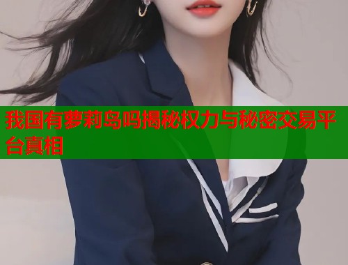 我国有萝莉岛吗揭秘权力与秘密交易平台真相