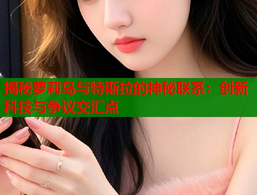 揭秘萝莉岛与特斯拉的神秘联系：创新科技与争议交汇点