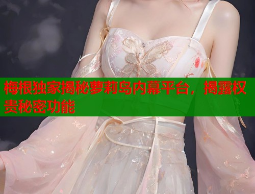 梅根独家揭秘萝莉岛内幕平台，揭露权贵秘密功能