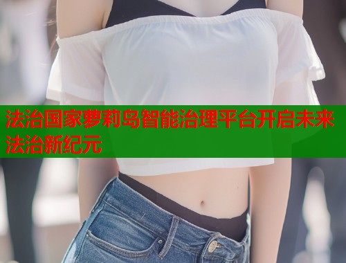 法治国家萝莉岛智能治理平台开启未来法治新纪元