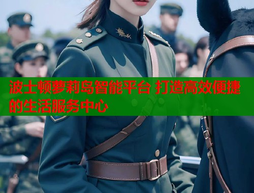 波士顿萝莉岛智能平台 打造高效便捷的生活服务中心