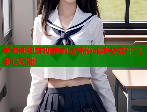 爱泼斯坦发现萝莉岛揭秘非法交易平台核心功能