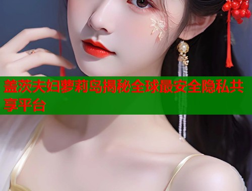 盖茨夫妇萝莉岛揭秘全球最安全隐私共享平台