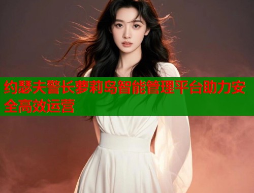 约瑟夫警长萝莉岛智能管理平台助力安全高效运营