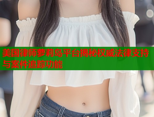 美国律师萝莉岛平台揭秘权威法律支持与案件追踪功能