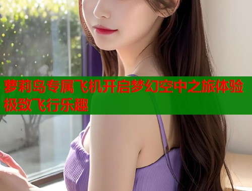 萝莉岛专属飞机开启梦幻空中之旅体验极致飞行乐趣