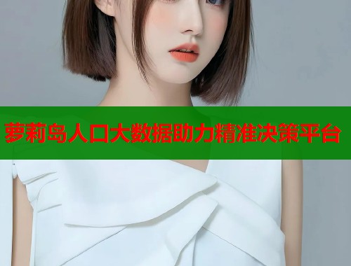 萝莉岛人口大数据助力精准决策平台